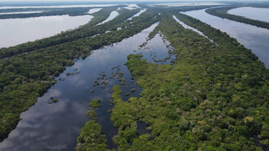 Água, Clima e Saberes da Amazônia: Sema promove discussão com agentes especialistas e agentes públicos