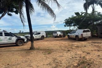 Primeira etapa da Operação Tamoiotatá 6 chega ao fim com mais de R$ 28,2 milhões em multas