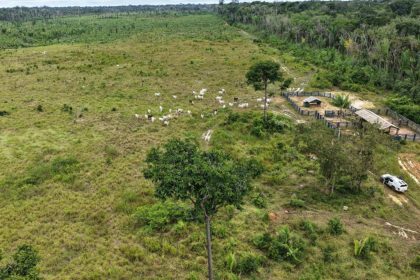 Operação Tamoiotatá 6: Ipaam aplica mais de R$ 585 mil em multas e embarga 115 hectares em Humaitá