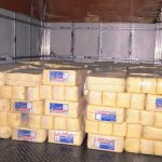 Visa Manaus apreende duas toneladas de queijo vencido em comércio na zona Centro-Oeste da cidade 