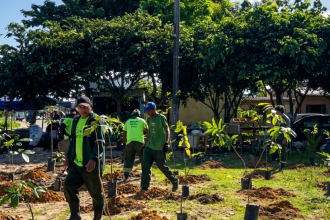 Prefeitura de Manaus já plantou mais de 6 mil mudas em parque linear no Novo Aleixo