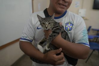 Mega Castração Amazonas: Sepet pretende esterilizar mais de 2 mil cães e gatos em 8 horas, no domingo