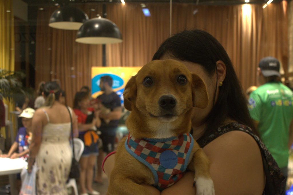 Sepet leva castração, vacinação e adoção de animais ao bairro Jorge Teixeira, dia 28 de março