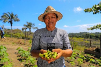 Benefício Garantia-Safra começa a ser pago a 275 agricultores familiares de quatro municípios do Amazonas
