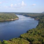 Últimos dias para inscrição ao Programa de Apoio à Articulação de Pesquisas em Bioeconomia e Desenvolvimento Sustentável 