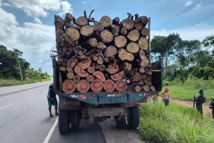 Operação Região Metropolitana: Ipaam apreende caminhão e lenha transportada sem documentação na AM-070