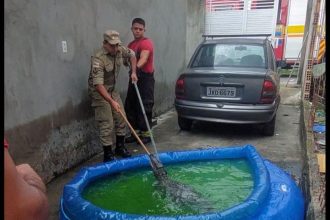 Em Manaus, dona de casa encontra jacaré em piscina de plástico e aciona o Corpo de Bombeiros para o resgate