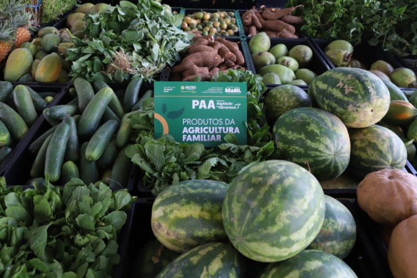 Edital do PAA beneficiando agricultores familiares indígenas e comunidades tradicionais vale a partir desta terça-feira