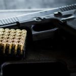 Comissão de Segurança discute concessão de porte de arma para auditores fiscais agropecuários