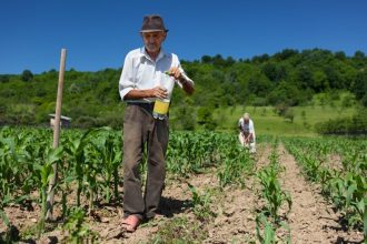 Lei dispensa multa para contar tempo de trabalho rural anterior a 1991 na aposentadoria