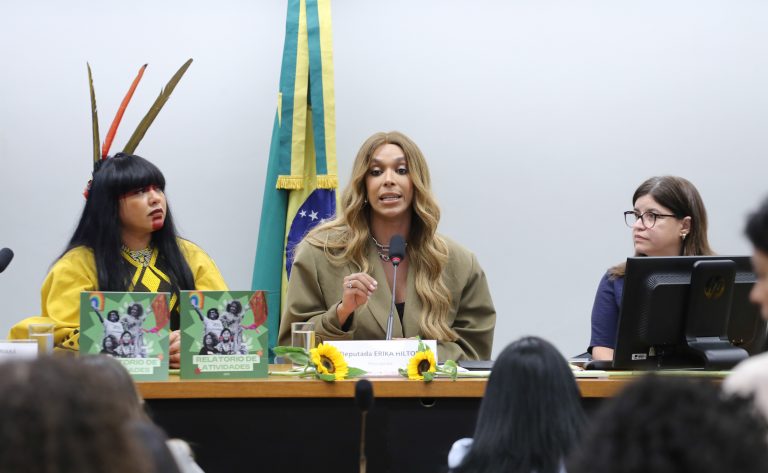 Erika Hilton é eleita presidente da Comissão dos Direitos da Mulher em votação polêmica