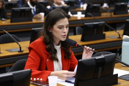 Comissão aprova prioridade para gestantes e lactantes em epidemias