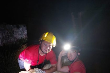  Corpo de Bombeiros do Amazonas resgata uma média de quatro animais a cada 24 horas 