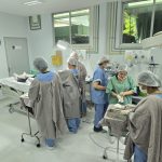 Fundação Hospitalar Alfredo da Matta finaliza mutirão de cirurgias dermatológicas