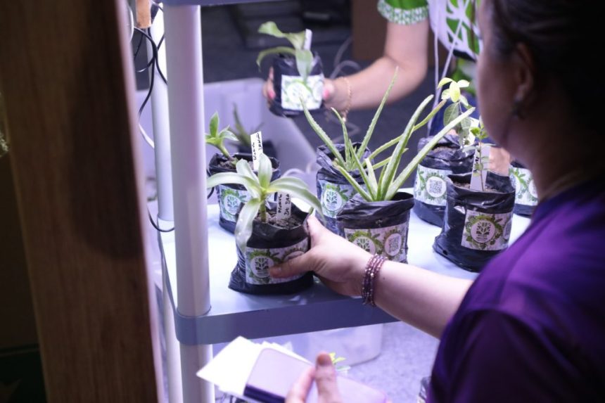 Fapeam recebe inscrições para os programas Painter Ecoturismo e Profix-RH até 9 de abril