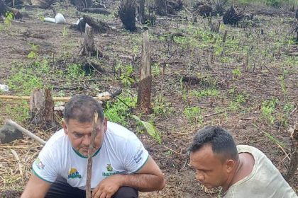 Agricultores familiares de Borba são capacitados pelo Idam em boas práticas no preparo de área