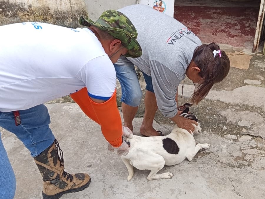 Prefeitura de Manaus inicia etapa rural fluvial da ‘Campanha de Vacinação Antirrábica Animal de 2026’