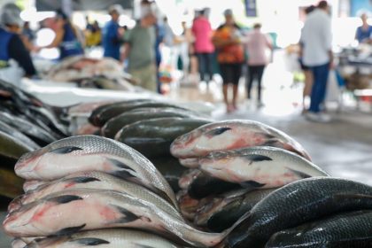 Semana Santa: Governo do Amazonas dá início ao Feirão do Pescado em dois pontos estratégicos de Manaus