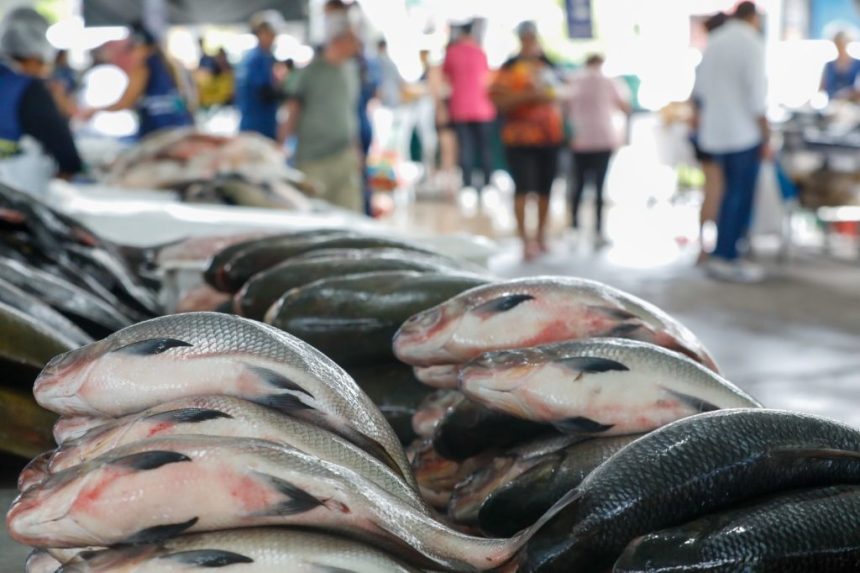 Semana Santa: Governo do Amazonas dá início ao Feirão do Pescado em dois pontos estratégicos de Manaus