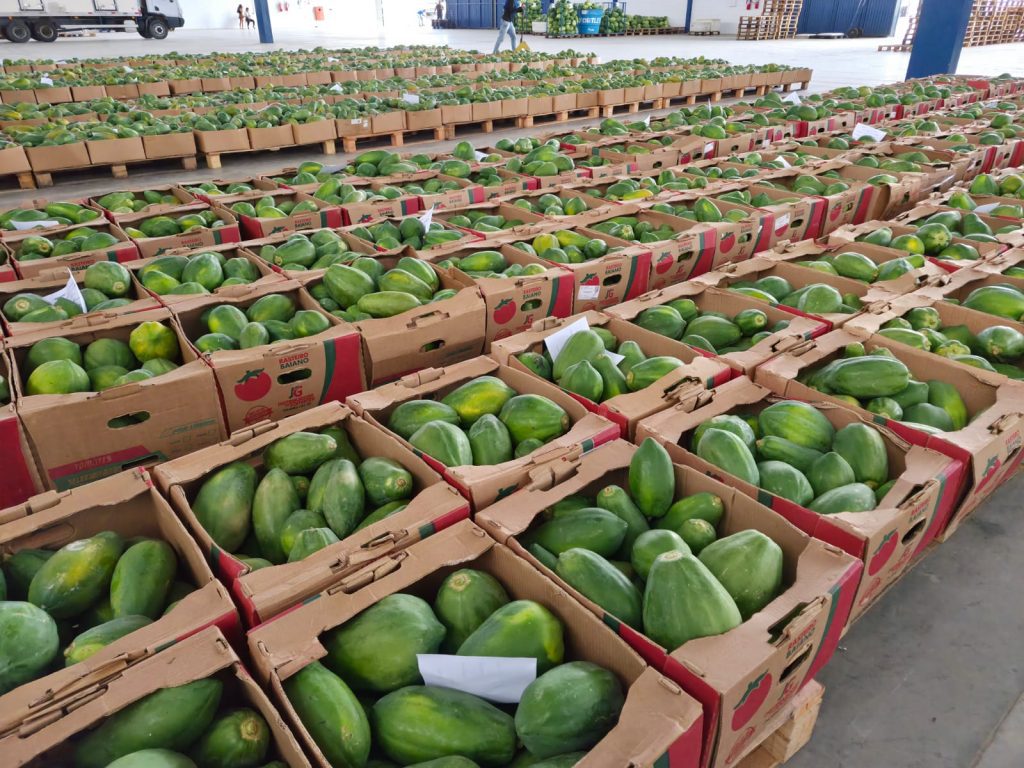 Governo do Estado destina mais de 100 toneladas de alimentos para a merenda escolar da rede estadual de ensino esta semana