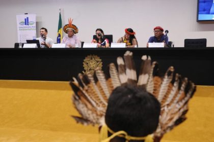 Lideranças defendem indígenas em espaços de decisão e proteção de territórios em seminário na Câmara