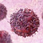 Nova lei inclui a imunoterapia em protocolos de tratamento do câncer