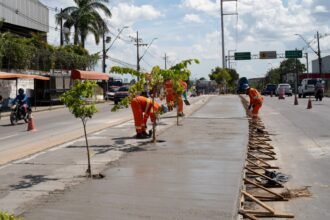 Prefeitura de Manaus inicia revitalização dos canteiros centrais em dez corredores viários da cidade