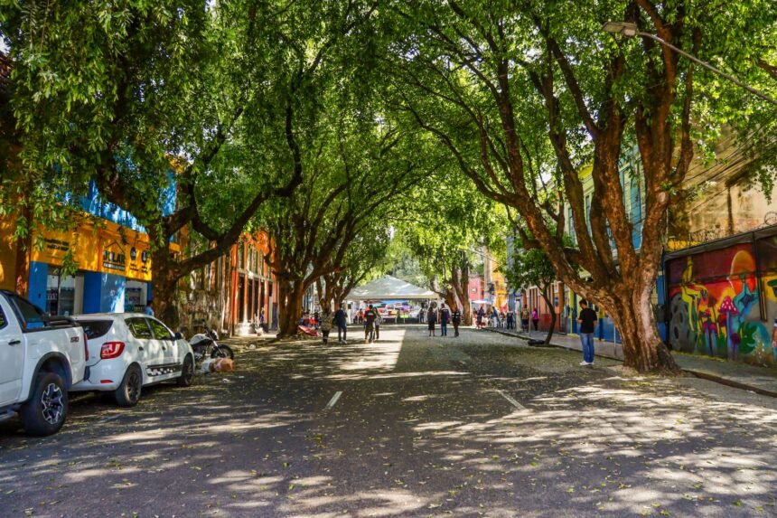 Prefeitura de Manaus lança Rua Gastronômica preservando as 17 árvores da Ferreira Pena no Centro