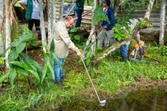 Prefeitura de Manaus fortalece a rede de diagnóstico de malária na capital amazonense