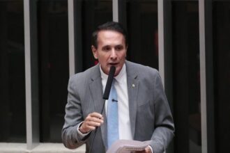 Projeto cria política de rastreabilidade bovina individual